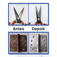 Spray Contra Ferrugem